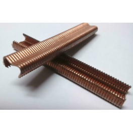 Omega staple