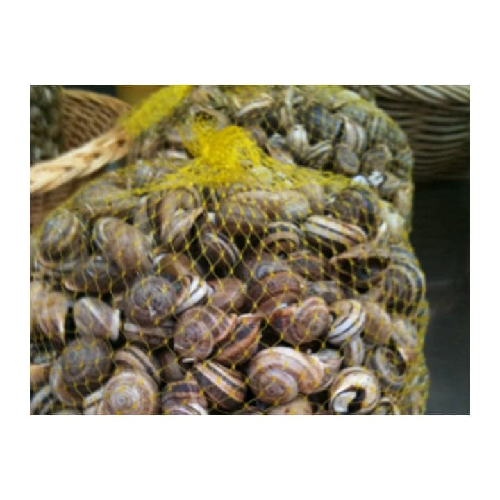 Malla para caracoles, mejillones, nueces